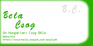 bela csog business card
